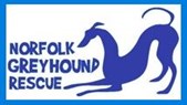 Norfolk Greyhound Rescue (NGR)